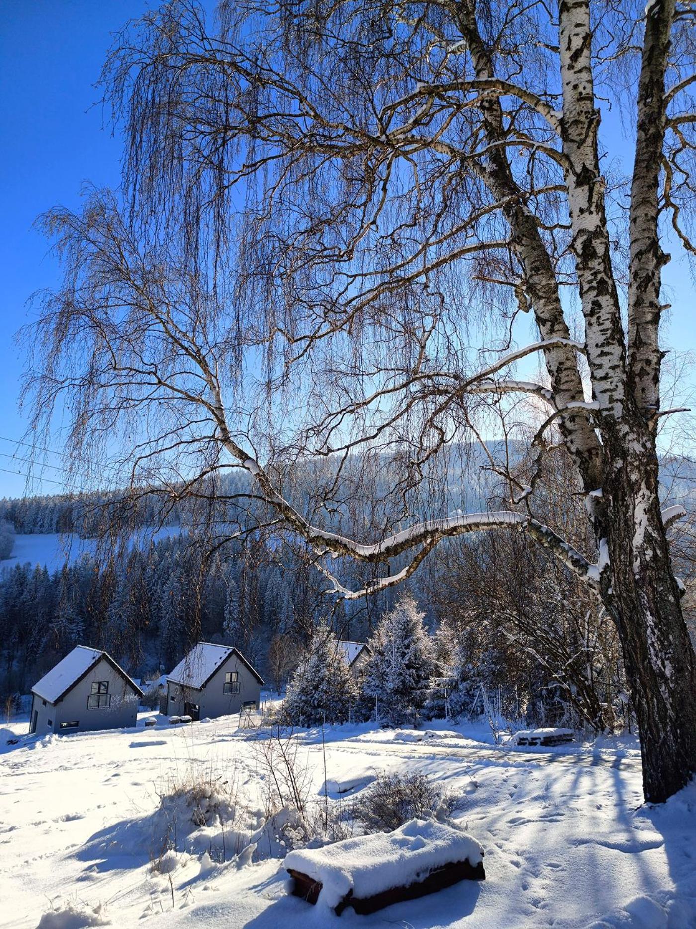 Chalet Widokowka Kletno